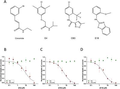 Corrigendum: Novel chemical scaffolds to inhibit the neutral amino acid transporter B0AT1 (SLC6A19), a potential target to treat metabolic diseases